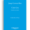 063 Josep Cervera-Bret - Cielo Gris
